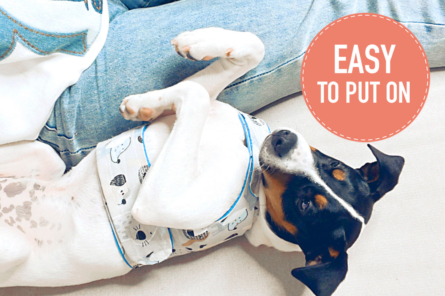 Dog Harness