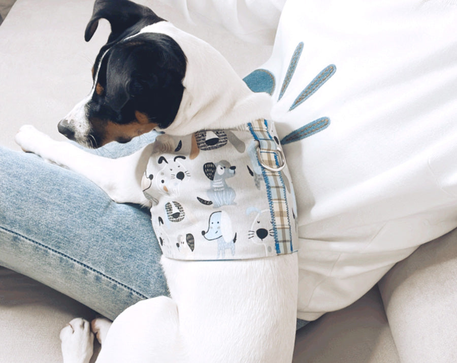 Dog Harness