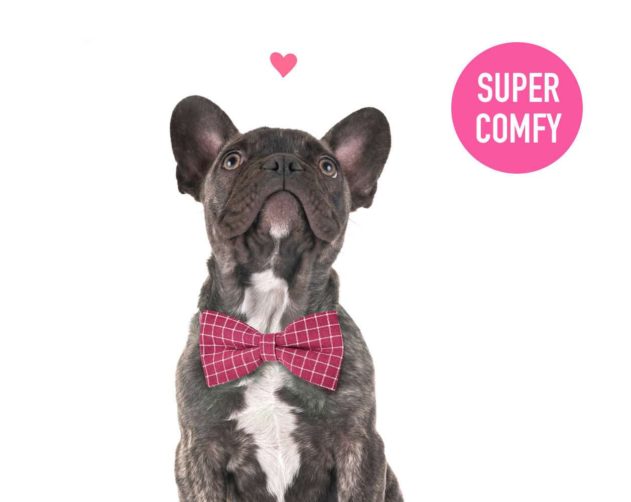 Dog Bow Tie