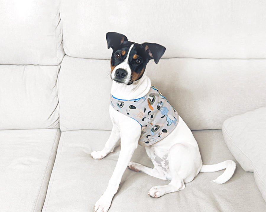 Dog Harness
