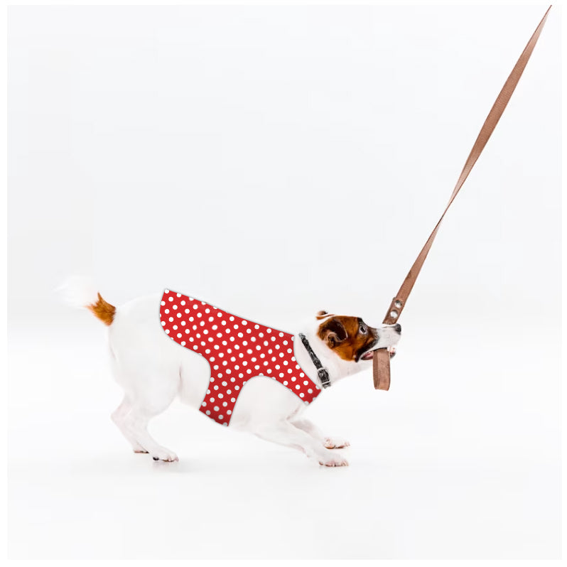 Dog Jacket