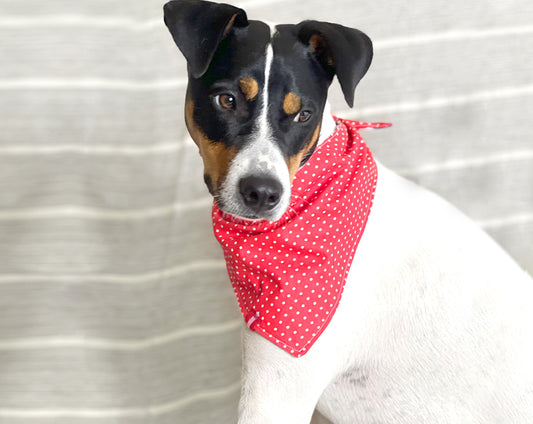 Sewing Pattern for Classic Dog Bandana