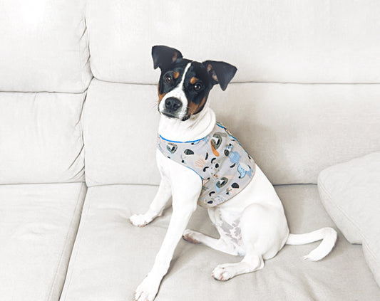Sewing Pattern for Dog Harness