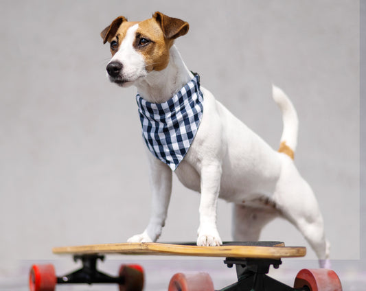 Sewing Pattern for Scrunchie Dog Bandana