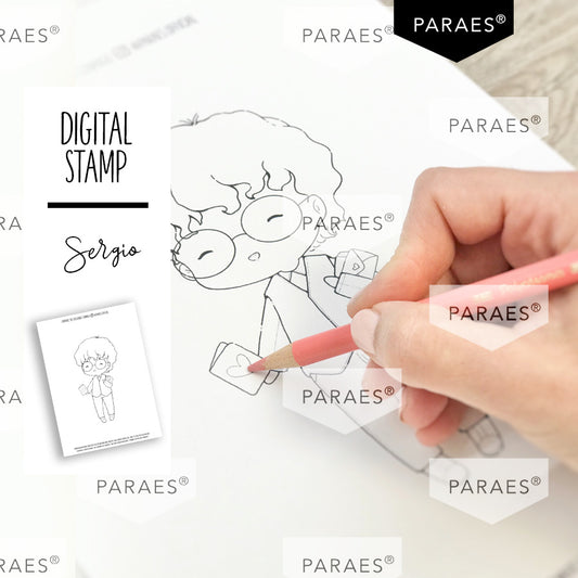 SERGIO - CHIBI COLLECTION